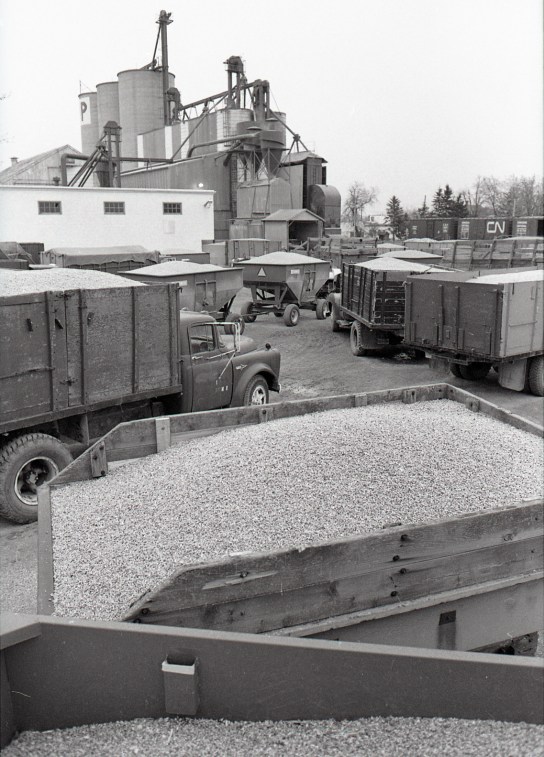 Grain Elevators.jpg