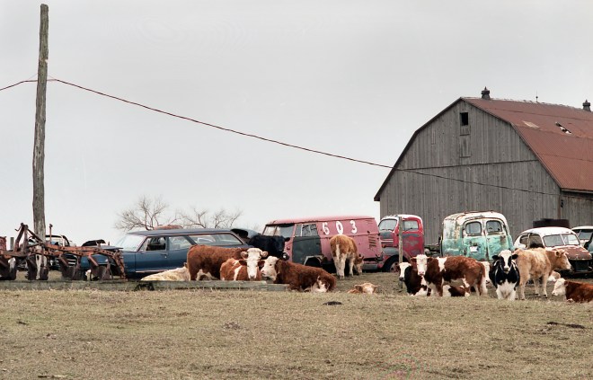 Auto GraveyardTest.jpg